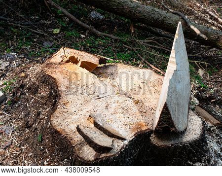 Falling Wedge Burst After Prolonged Heavy Use In Logging. Tree Harwesting