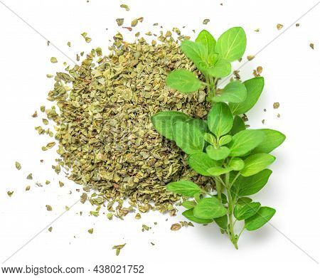 Oregano Or Marjoram Herbs  Isolated On White Background. Fresh And Dried Oregano Spice