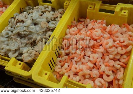 Fresh Shrimps On Akko Market. Akko(acre), Israel.
