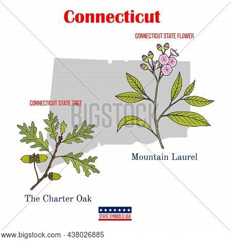 Connecticut. Set Of Usa Official State Symbols. Vector Hand Drawn Illustration