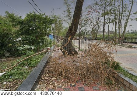 Howrah, West Bengal, India - 31st May 2020 : Super Cyclone Amphan Uprooted Tree Which Fell And Block