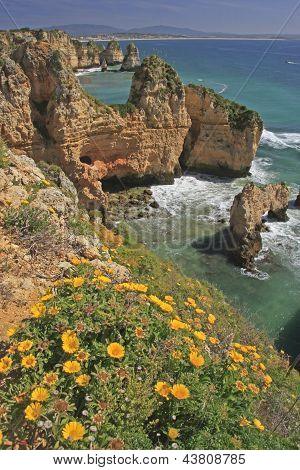 Květiny a pobřežní útesy, Algarve, Portugalsko