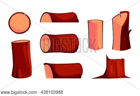 Wooden Logs. Tree Planks Oak Branch Cutting Logs Collection Industrial Wooden Production Garish Vect