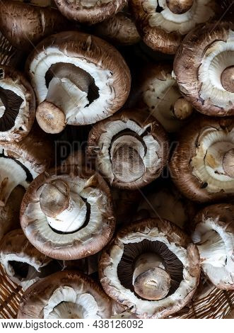 Top Down Macro View Of Cremini Mushrooms Showing The Underside Of The Caps.