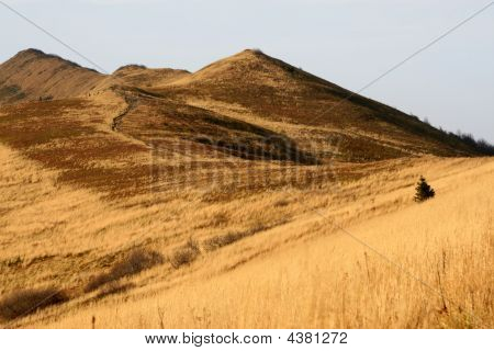 Bieszczady