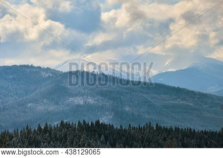 Winter Landscape With Spruse Trees Of Snow Covered Forest In Cold Mountains.