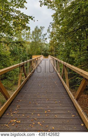 Footbridge Among Trees Over Small Szklarka River