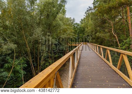 Footbridge Among Trees Over Small Szklarka River
