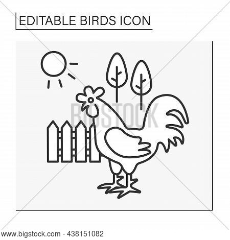 Rooster Line Icon. Domestic Fowl Symbolize New Day And Recreations. Birds Concept. Isolated Vector I