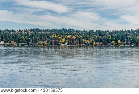 Home And Fall Colore On Mercer Island, Washington.