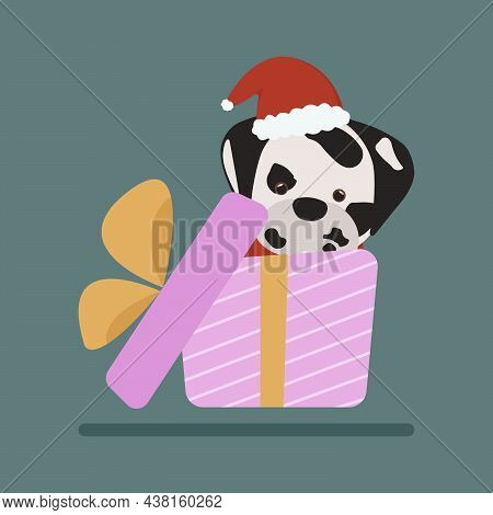 Pink Gift Box With Dalmatian Dog Inside
