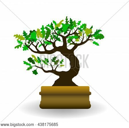 Vector Simple Style Silhouette Of Cute Bonsai Tree Grown In Small Shallow Pot. Funny Little Home Oak