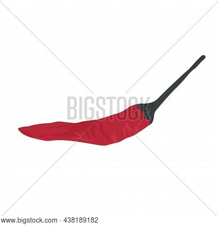 Red Chili Pepper Vector Stock Illustration. Spicy Paprika. Pod Vegetable Mexican Cuisine. Food, Plan