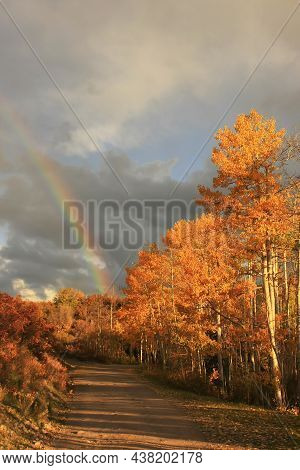 Rainbow Over Aspen Trees With Fall Color, Colorado, Usa