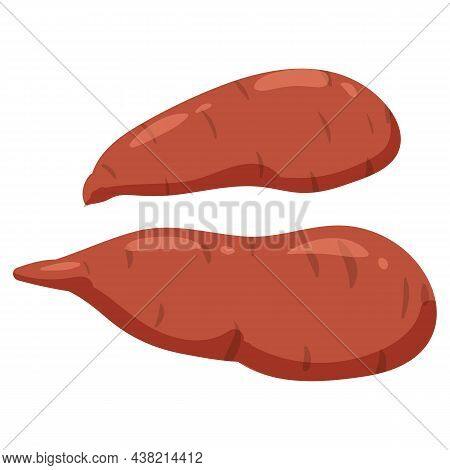 Sweet Potato, Natural Healthy Organic Nutrition Product. Vector Doodle Cartoon Flat Trendy Illustrat