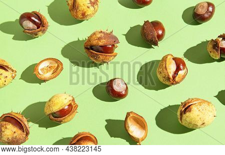 Creative Composition Made Of Chestnuts Close Up On Sunlit Green Background. Nature Consept. Falll An