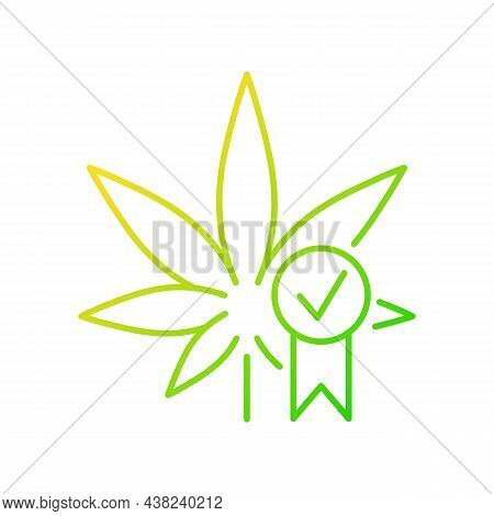 Cannabis Quality Control Gradient Linear Vector Icon. Medical Marijuana Product Evaluation. Quality 