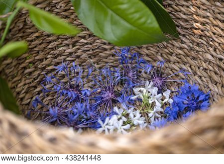 Many Flowers In Basket For Making Plant Tincture