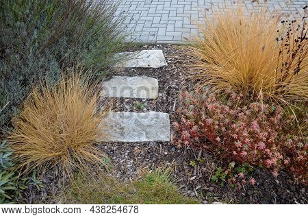 Flowerbed With Ornamental Grasses Dry Leaves In The Autumn Sun Shines Yellow Bunches Of Leaves. In T