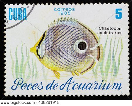 Republic Of Cuba - Circa 1985: Postage Stamp 'foureye Butterflyfish - Chaetodon Capistratus' Printed