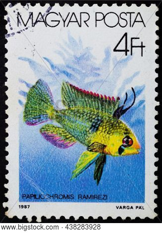 Hungary - Circa 1987: Postage Stamp 'ram - Papiliochromis Ramirezi' Printed In Hungary. Series: 'fis