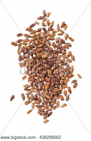 Cassia Tora Beans Isolated On White Background. Sicklepod Or Senna Obtusifolia. Clipping Path. Top V