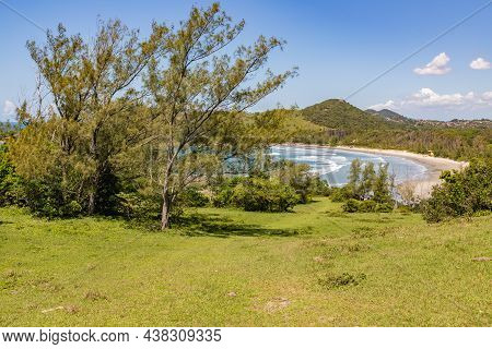Tropical Vegetation With Beach In Background, Praia Do Ouvidor, Garopaba, Santa Catarina, Brazil