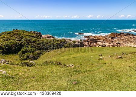 Beach View With Rocks, Waves And Vegetation