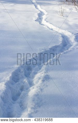 A Well-trodden Path Through The Fallen White Snow In Winter In A Field
