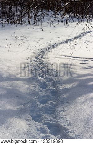 A Well-trodden Path Through The Fallen White Snow In Winter In A Field