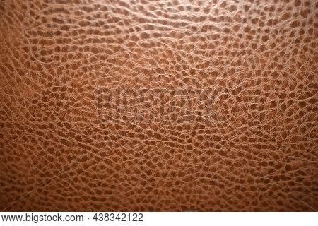 Leather Surface Of Dermantine With A Fine Brown Pattern