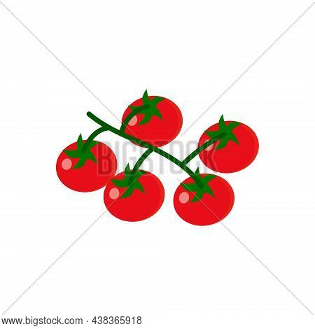 Fresh Cherry Tomato Branches. Small Vegetables On Food Plant. Flat Vector Illustration Isolated On W