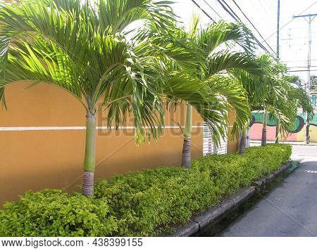 The Magnificent Architecture Of South America. Venezuela. Maracay. Colonial Style. A Picturesque Col