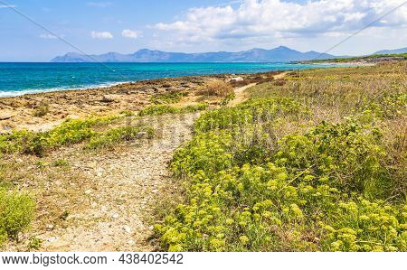 Path Thru Coast Landscape Panorama Can Picafort Mallorca Spain.