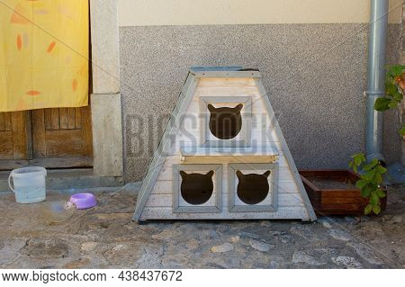 A Shelter For Street Cats Relaxes In Historic Centre Of Krk Town On Krk Island In The Primorje-gorsk