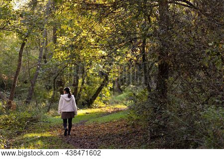 Young woman walking alone in temperate climate forest.