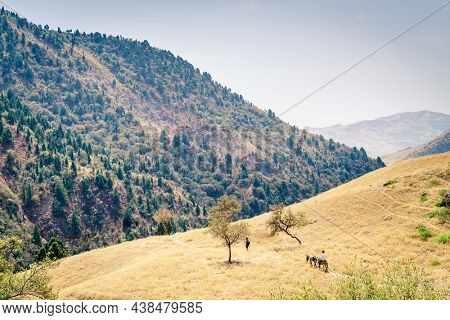 A trail in Hissar Valley in Shirkent National Park in Tajikistan