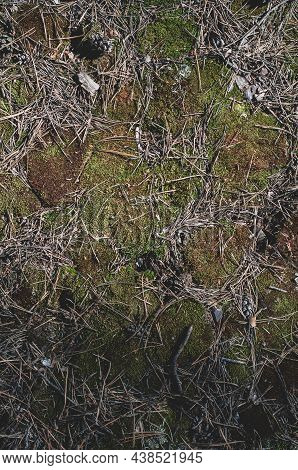 Close Up Photo Gray Granite Stonei, Smooth Rough Surface Old, Natural Material. Outdoors