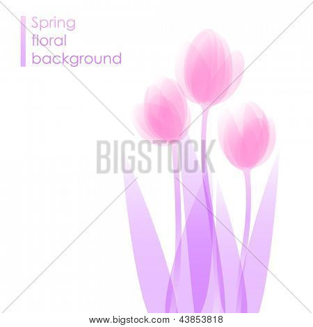 Krásné tulipány / jarní květinové pozadí