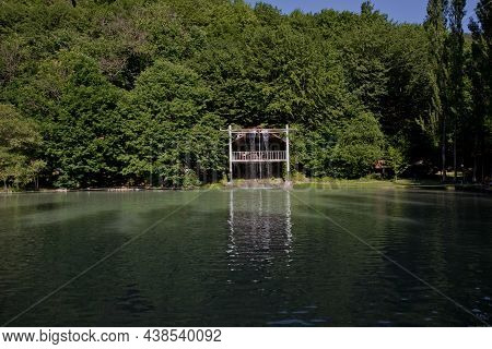 Green Forest By The Lake In Reflection In The Water Beauty In Nature . Clean Green Trees Reflection 