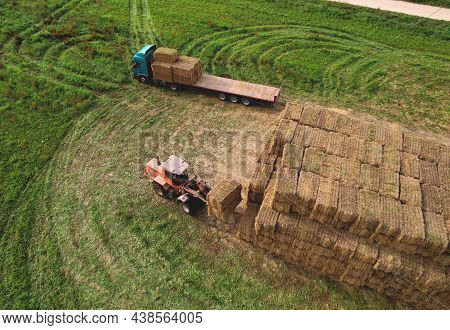 Farmer Unloading Round Bales Of Straw From Hay Trailer With A Front End Loader. Store Hay At Farm. H