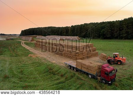 Farmer Unloading Round Bales Of Straw From Hay Trailer With A Front End Loader. Store Hay At Farm. H