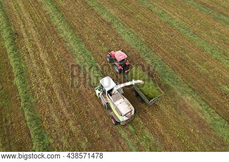 Forage Harvester Durind Grass Cutting For Silage In Field. Harvesting Biomass Crop. Self-propelled H