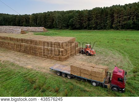 Farmer Unloading Round Bales Of Straw From Hay Trailer With A Front End Loader. Store Hay At Farm. H