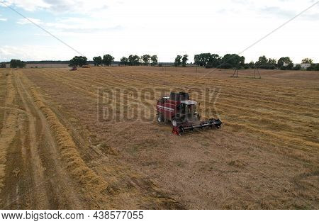 Combine Harvester Working In Wheat Field. Harvesting Machine During Cutting Crop In Farmland. Aerial