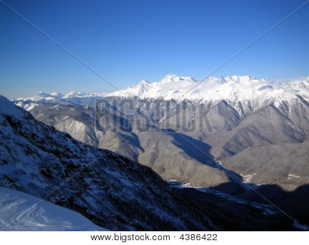 山