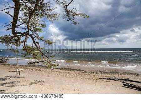 Wild Coast On Cape Kolka With Trees That Have Fallen After A Storm On The Shore Of The Baltic Sea. C