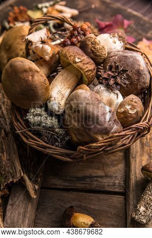 Forest Edible Mushrooms Close Up. Ceps Boletus Edulis Over Wooden Background, Rustic Table.forest Ed