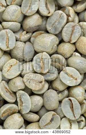 Baggrund af rå, uristet grønne kaffebønner