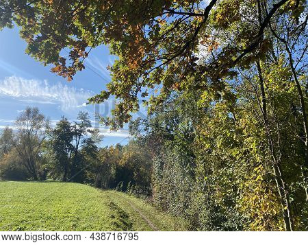 Recreational And Hiking Trails In Early Autumn Along The Glatt River And In The Zürich (zuerich Or Z
